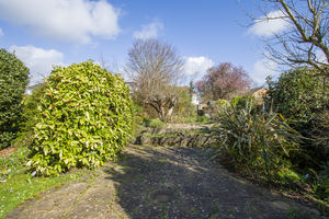 Photo 24- click for photo gallery